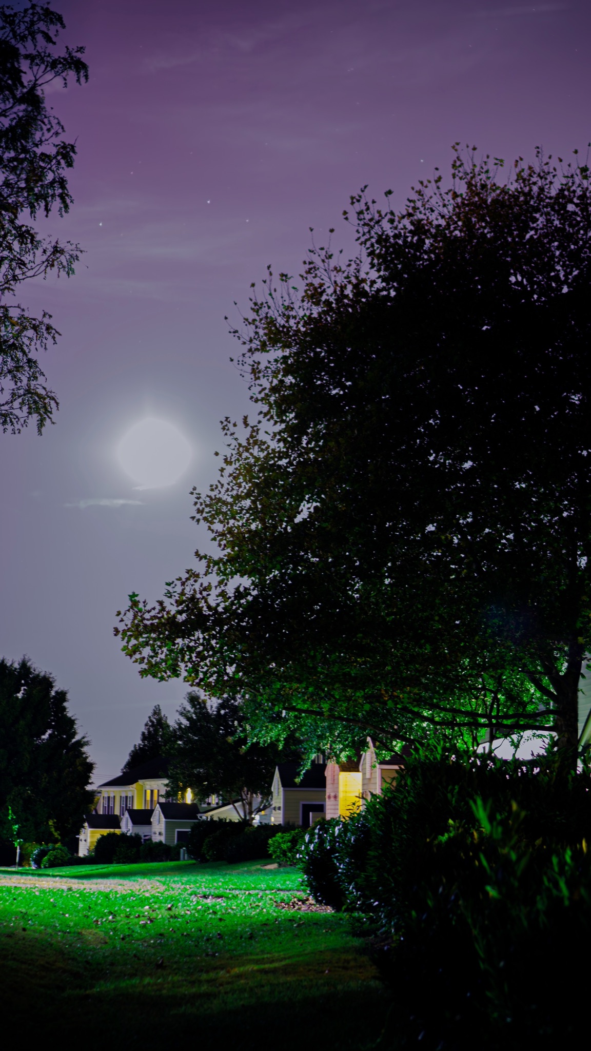 Full moon rising through trees over a neighborhood